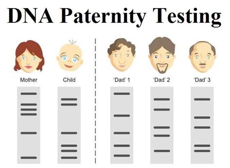 how do you read a paternity test|DNA Paternity Test: Procedure, Accuracy & Results .